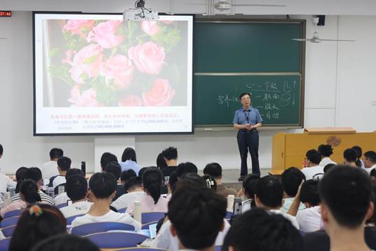 图片24